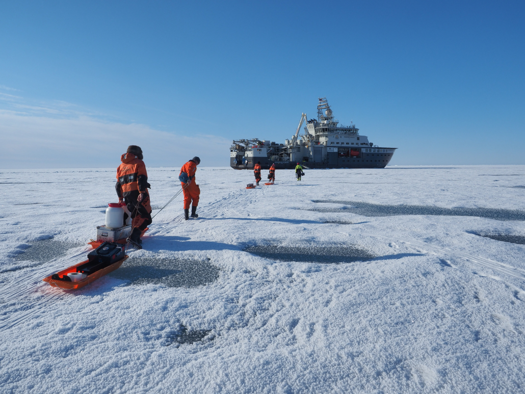 Norsk Polarinstitutt — Norsk Polarinstitutt