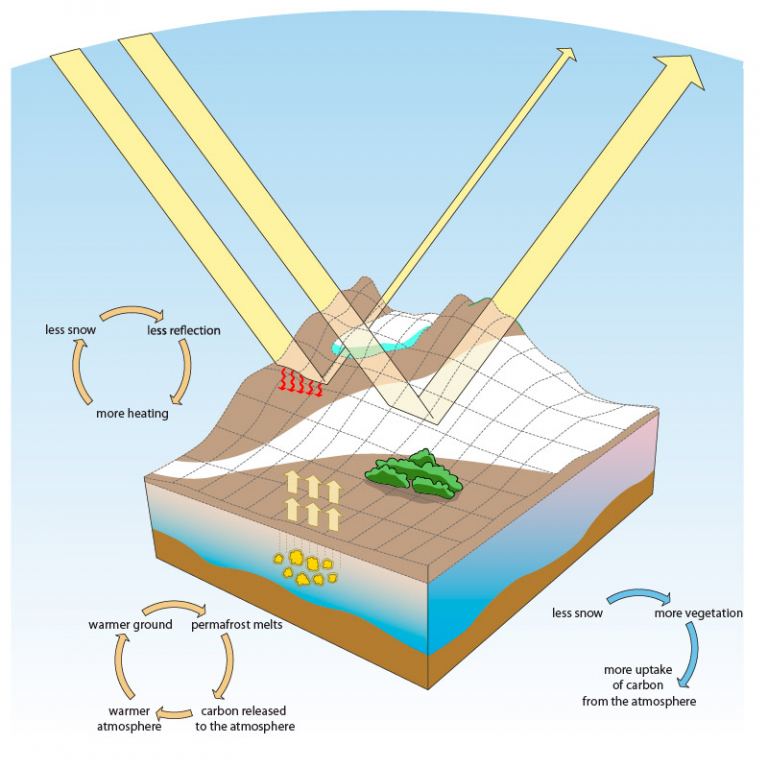 Albedo Effect – Norsk Polarinstitutt