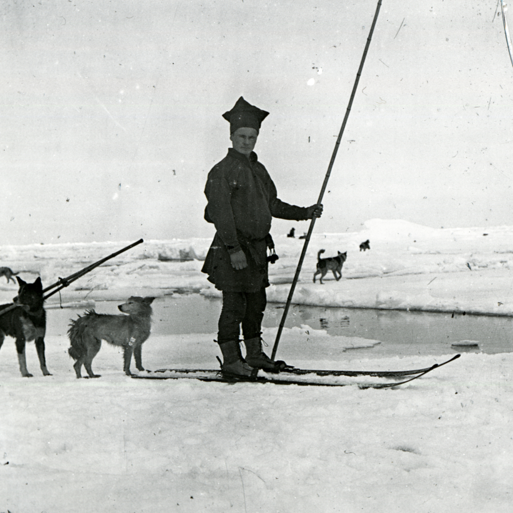 Mann på ski med hunder rundt