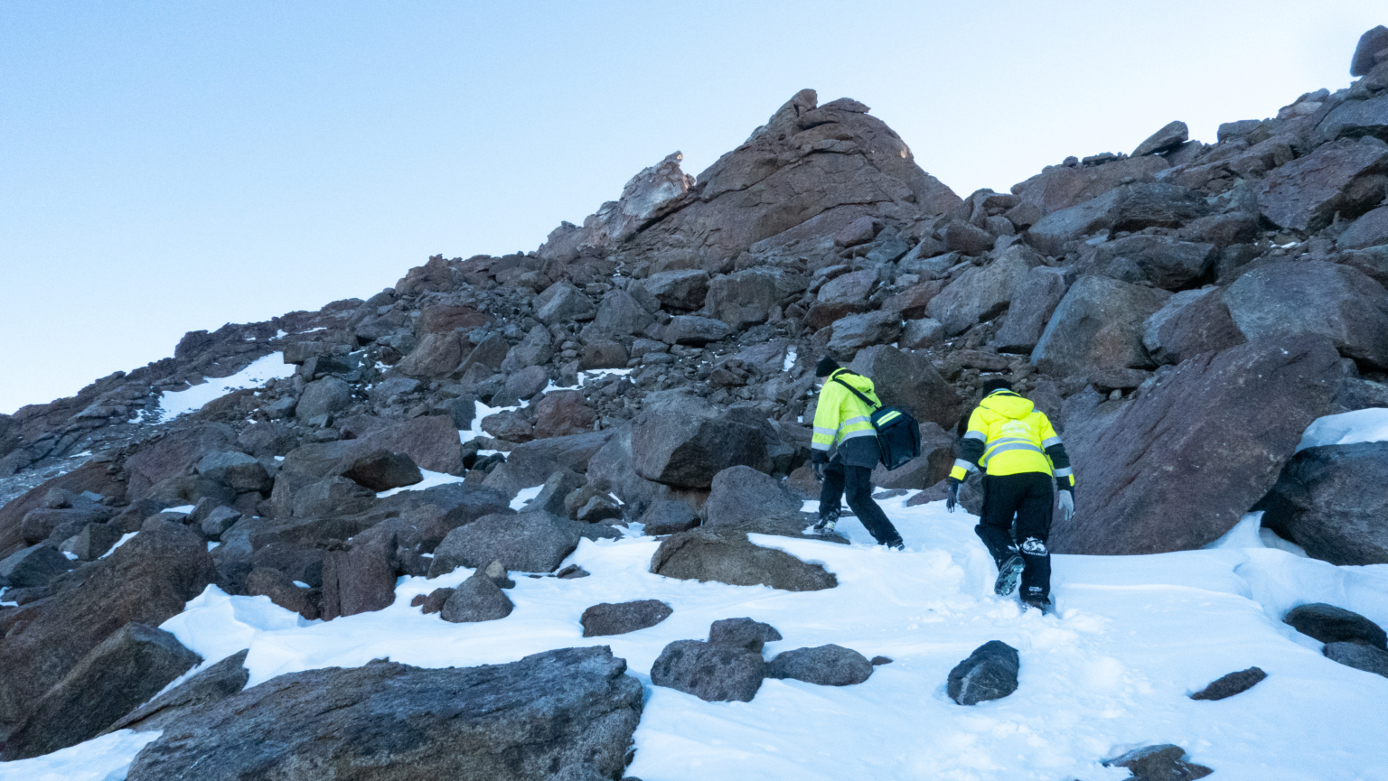 Stormfullt Fugleliv – Norsk Polarinstitutt