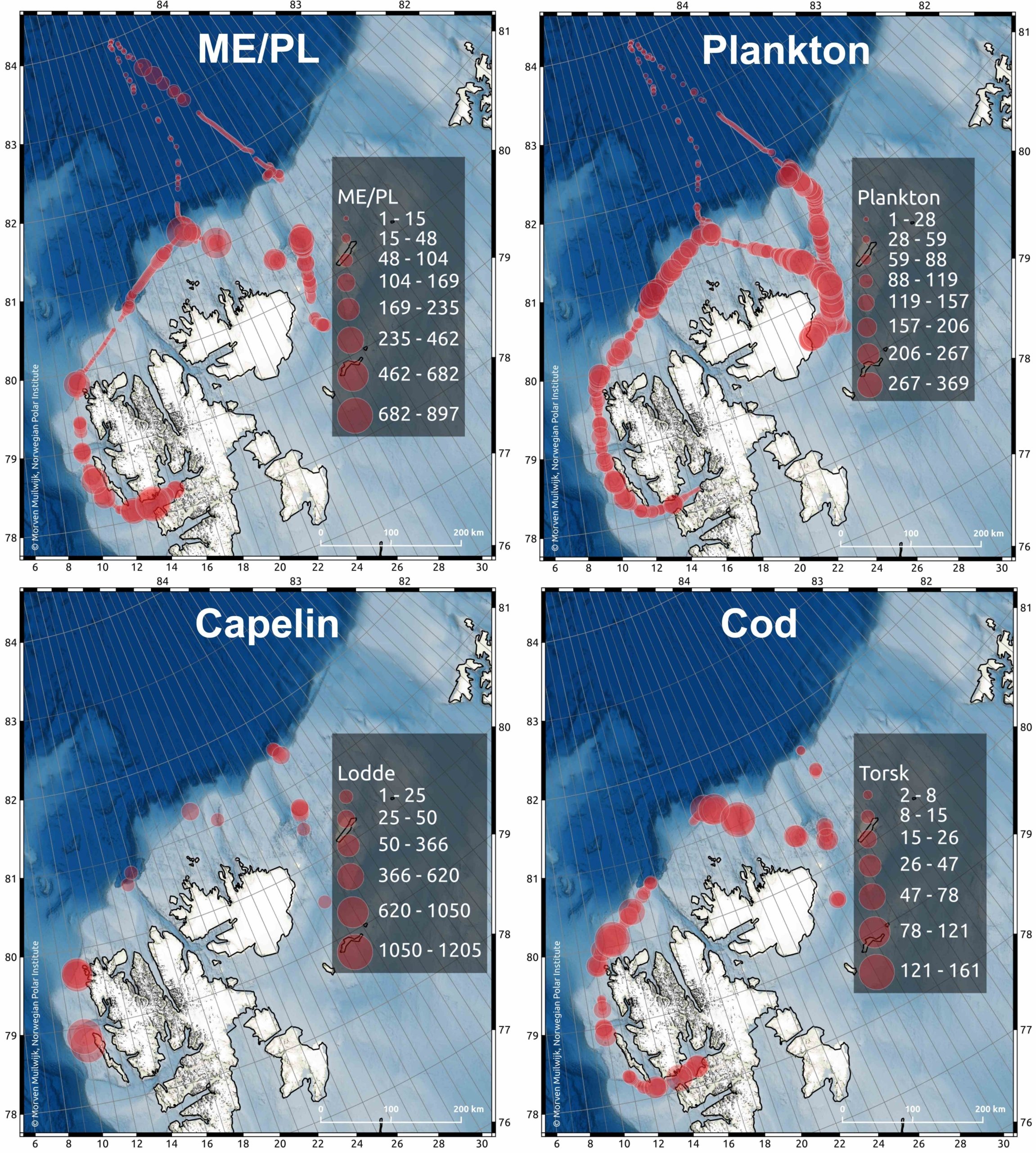 fire kart med markeringer av registeringer for forskjellige fisk
