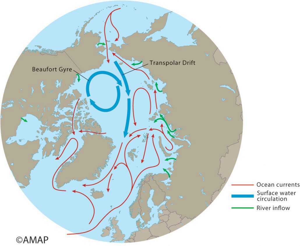 Pollutants in the Arctic – Norsk Polarinstitutt